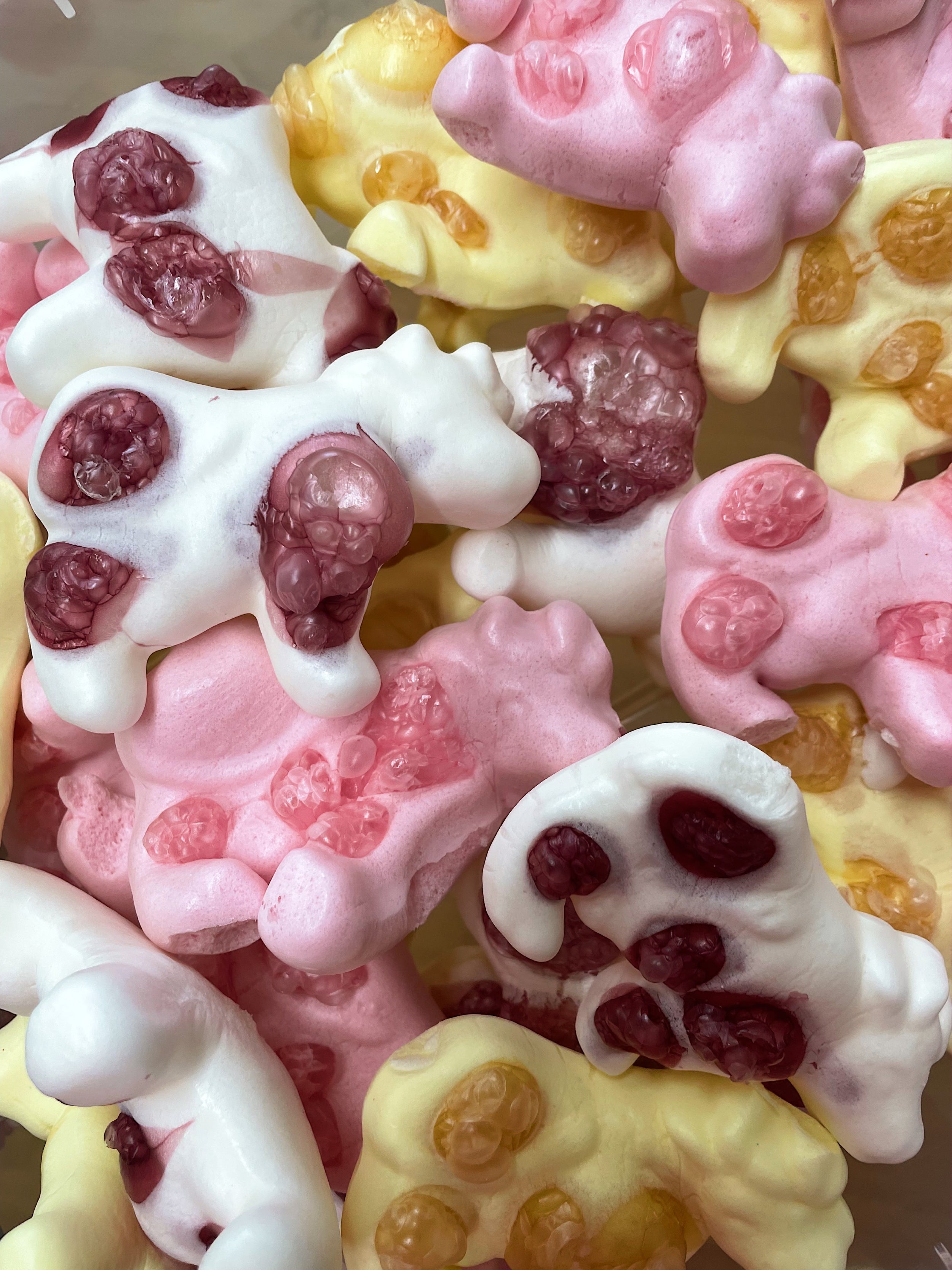 Liofilizuoti saldainiai "Karvytės"